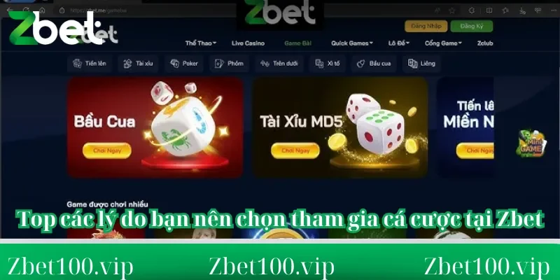 Về chúng tối zbet Top các lý do bạn nên chọn tham gia cá cược tại Zbet
