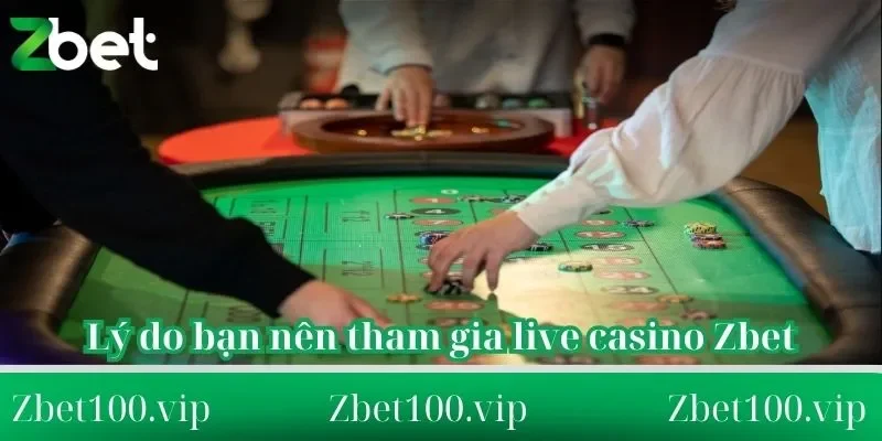 live casino Zbet Lý do bạn nên tham gia live casino Zbet