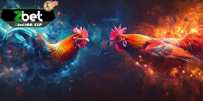 meo ca cuoc da ga thomo tai zbet Mẹo cá cược đá gà thomo tại zbet
