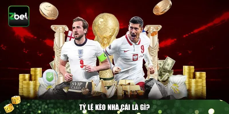 Tỷ lệ kèo nhà cái là một yếu tố giúp người chơi xác định cơ hội chiến thắng Tỷ lệ kèo nhà cái là một yếu tố giúp người chơi xác định cơ hội chiến thắng